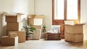 Profesyonel Paketleme Eşya ambalajlama